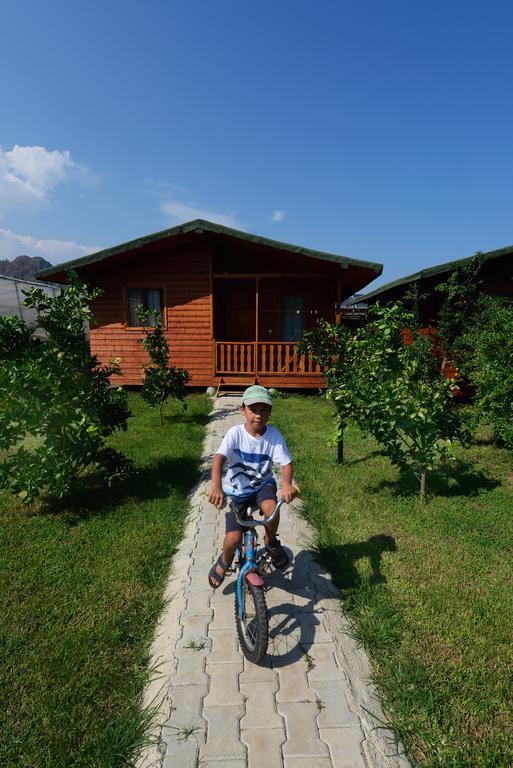 Yildiz Pension Bungalows Çıralı Quarto foto