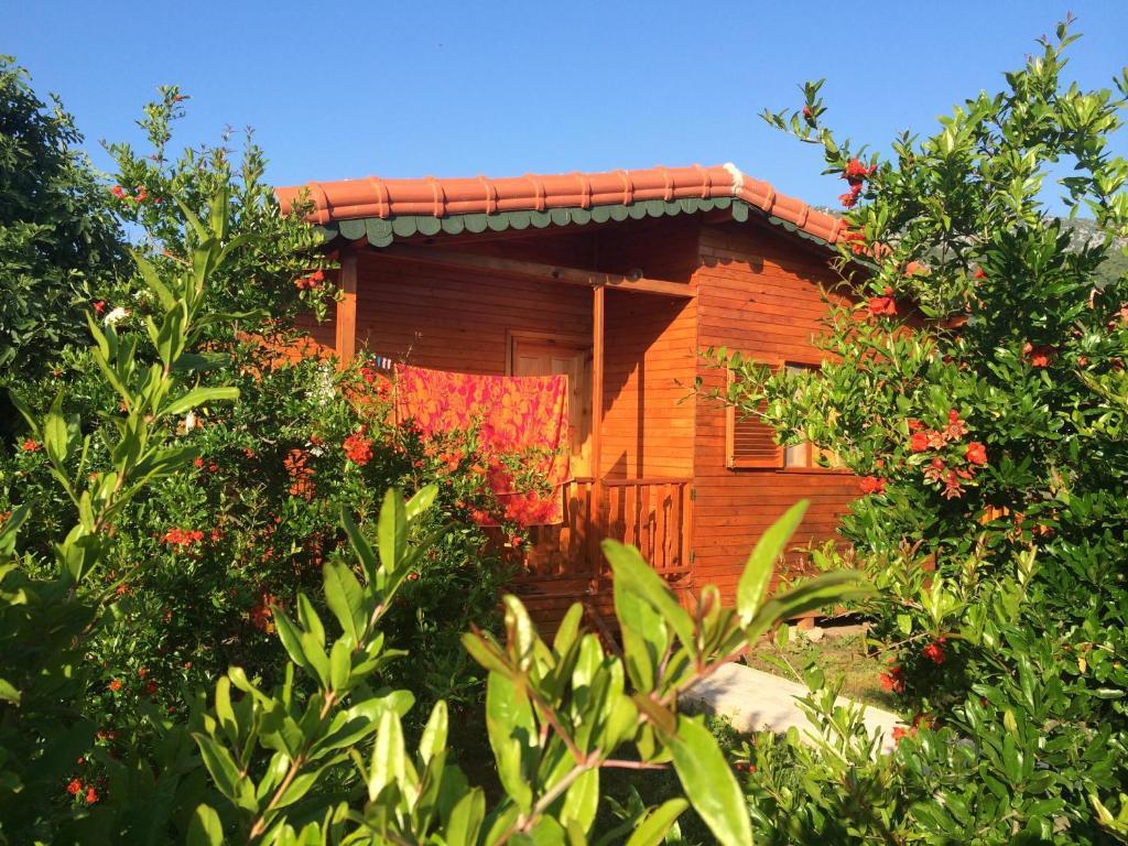 Yildiz Pension Bungalows Çıralı Quarto foto